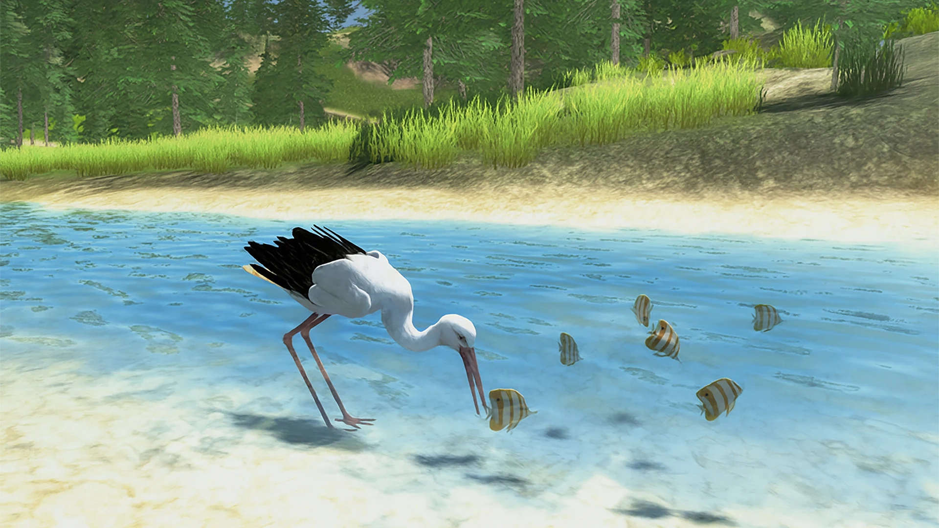The White Stork screenshot
