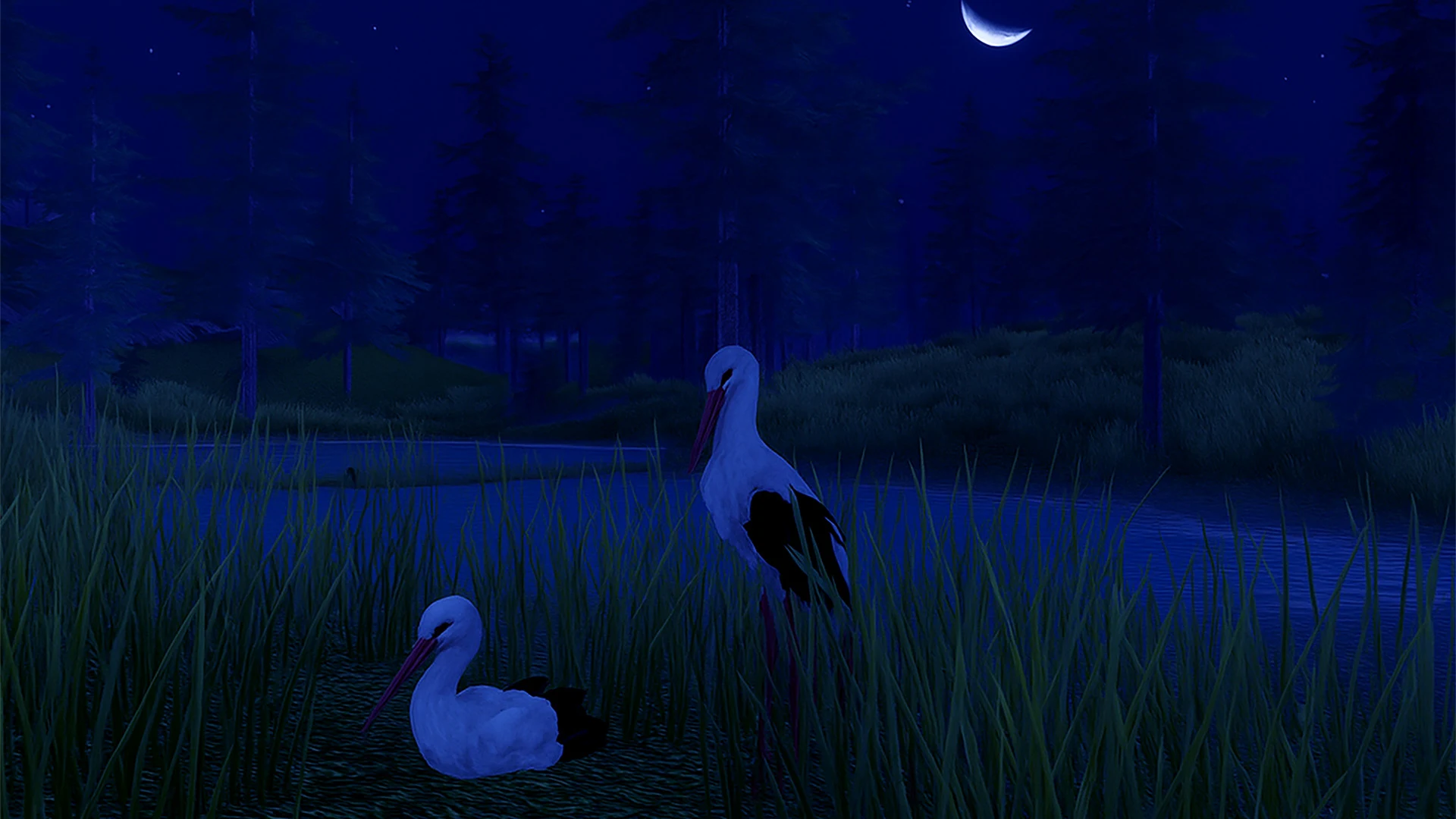 The White Stork screenshot