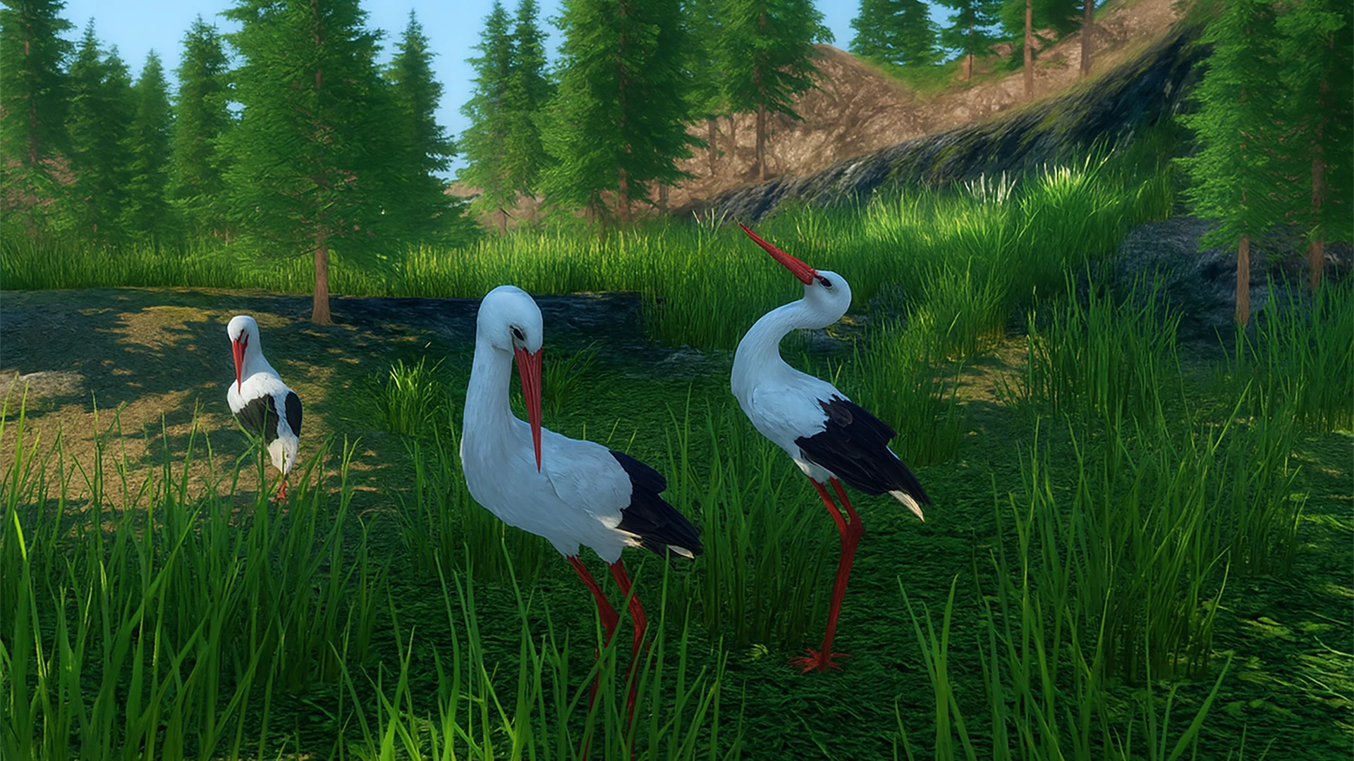 The White Stork screenshot