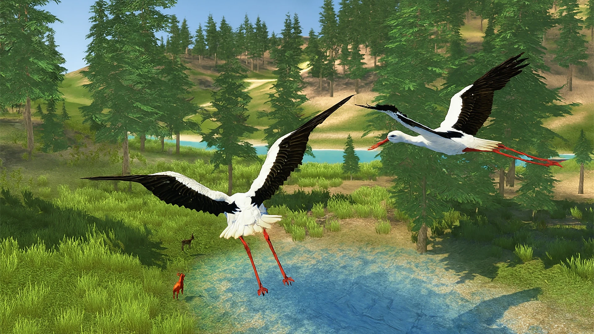 The White Stork screenshot